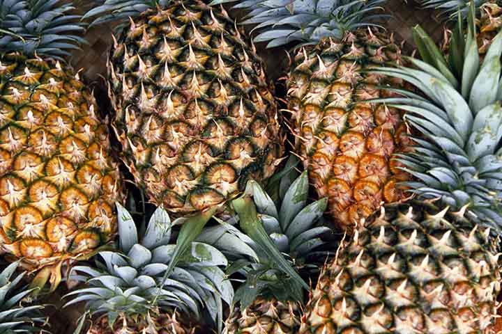 02-pineapple.jpg