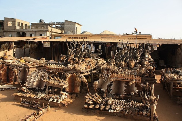 بازار طلسم Akodessawa در توگو