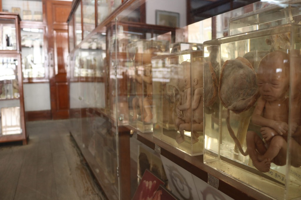 موزه پزشکی سیریراج در تایلند