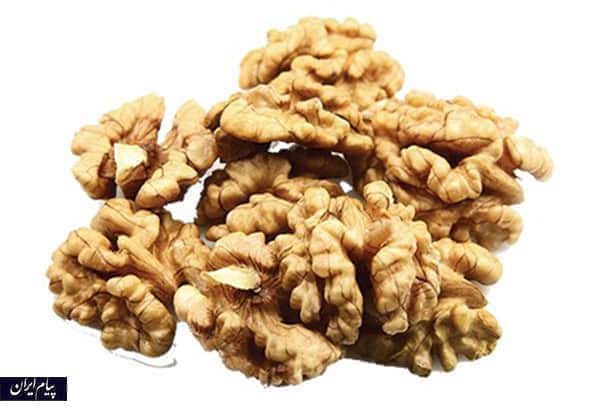 mgz-grdw-l-walnut-brain.jpg