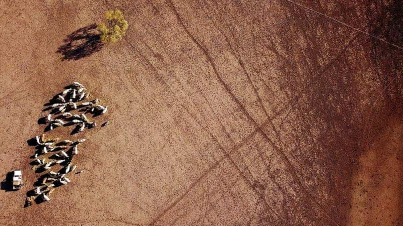 خشکسالی بی‌سابقه در استرالیا