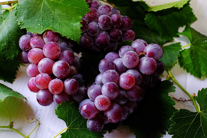 17-grapes.jpg